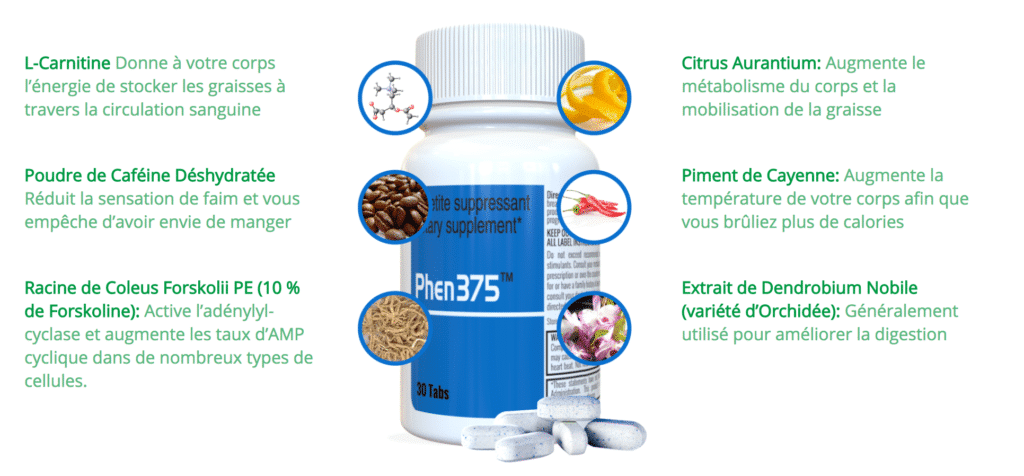 Phen375 composants