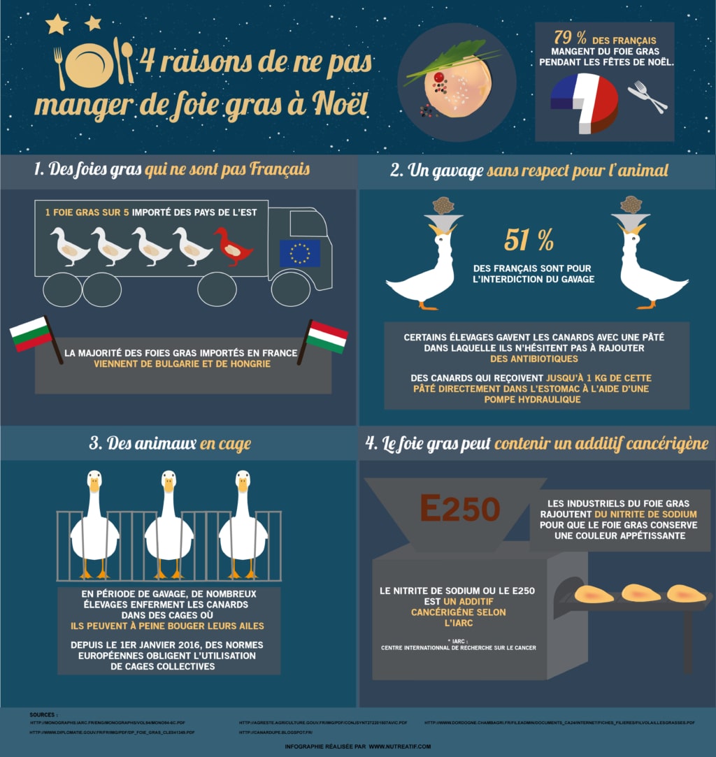 quel-foie-gras-choisir-infographie