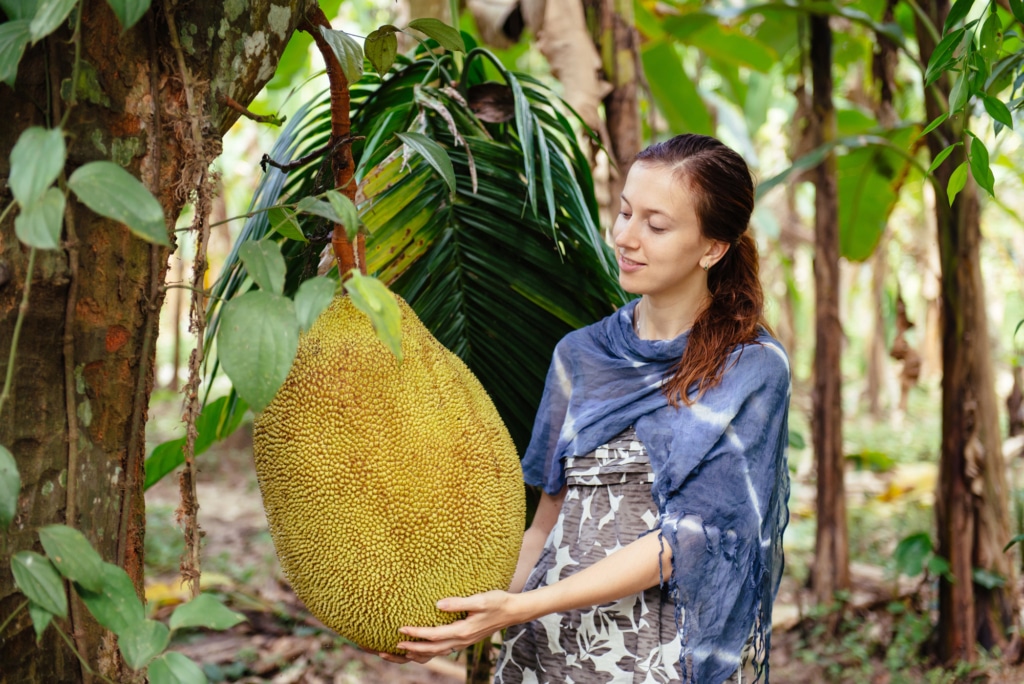 le jacquier fruit