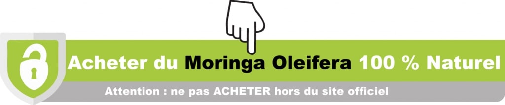 moringa oleifera boutique