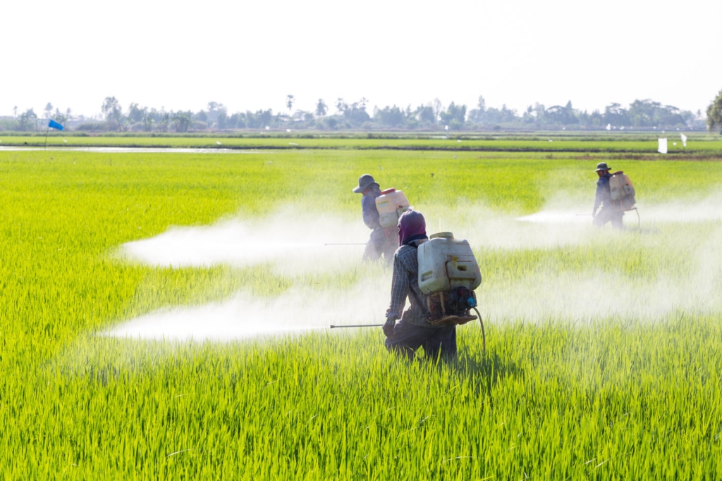 pesticides céréales