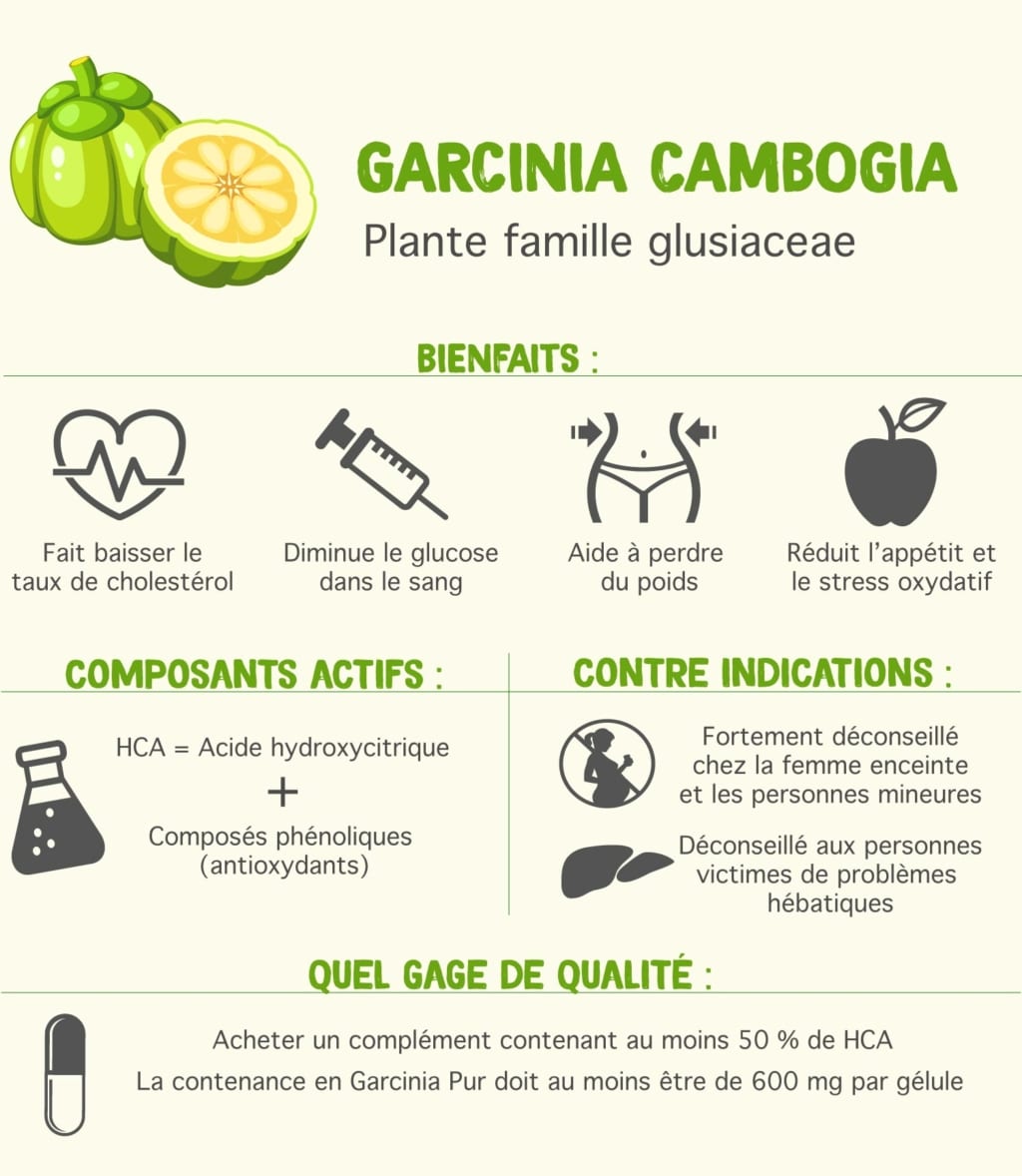 bienfaits garcinia cambogia