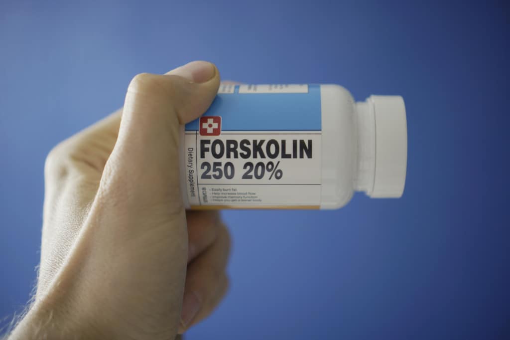 forskolin bruleur de graisse