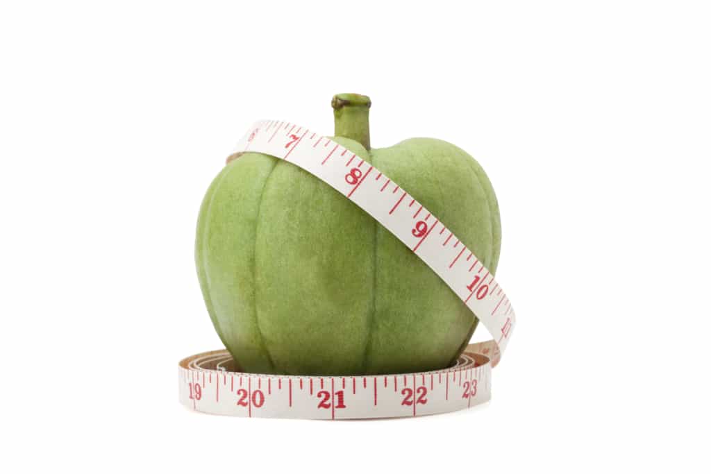 garcinia cambogia composition