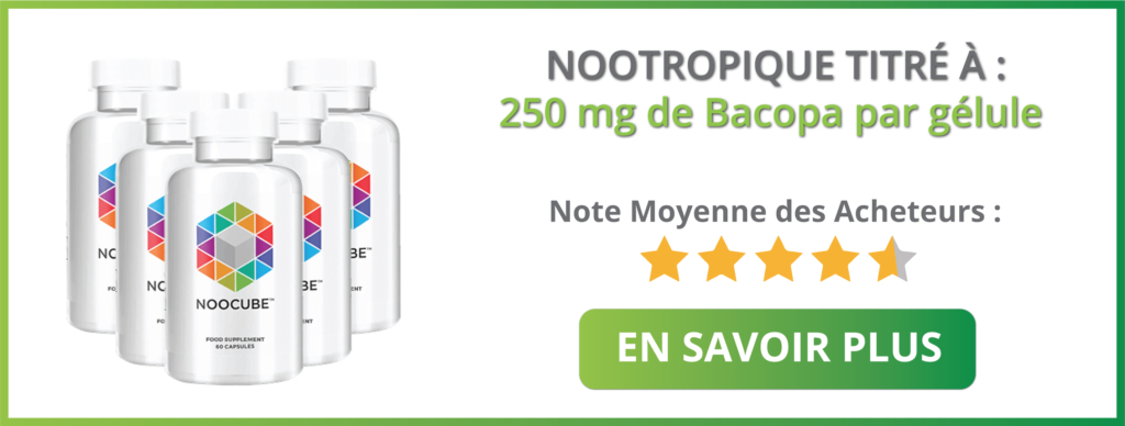 nootropique noocube bacopa